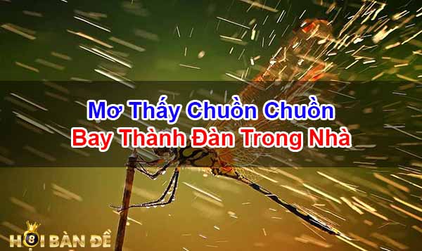 Mo-Thay-Con-Chuon-Chuon-Danh-Con-Gi-Diem-Bao-Tot-Hay-Xau