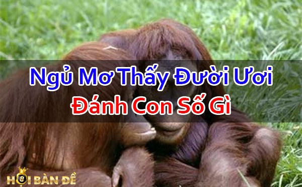 Nam-Mo-Thay-Con-Duoi-Uoi-Danh-So-May-Co-Phai-Hung-Tin