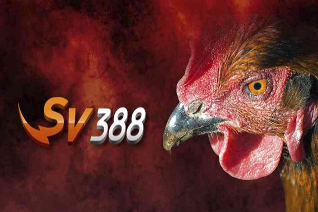 Giới thiệu về nhà cái SV388